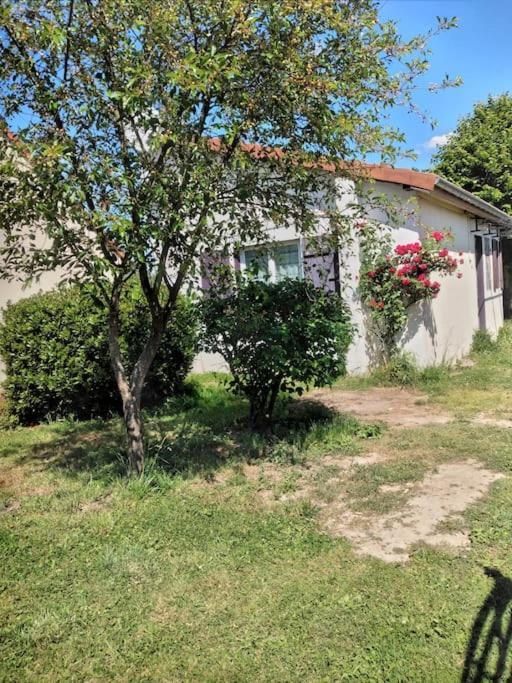 Maison Studio Individuelle Fraichement Renovee Paray-le-Frésil Dış mekan fotoğraf