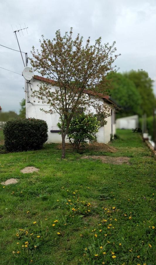 Maison Studio Individuelle Fraichement Renovee Paray-le-Frésil Dış mekan fotoğraf